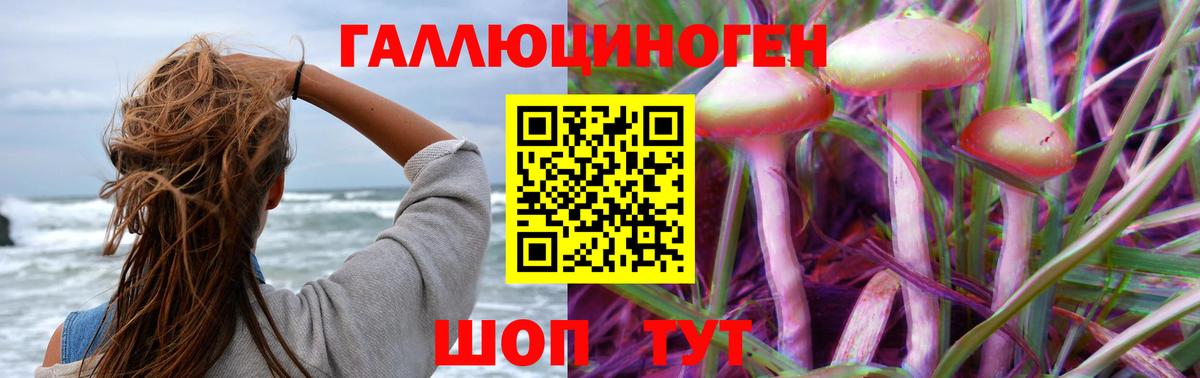 Псилоцибиновые грибы мухоморы  Вход с VPN  Галлюциногенные грибы GOLDEN TEACHER  Новотроицк 