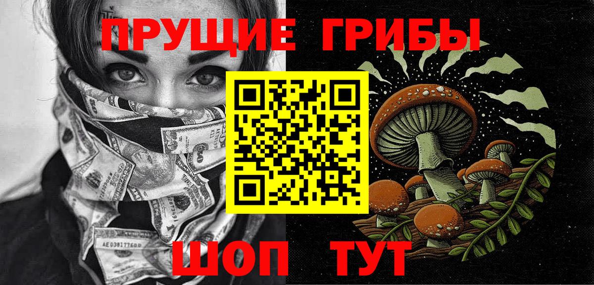 Галлюциногенные грибы Psilocybe Новотроицк